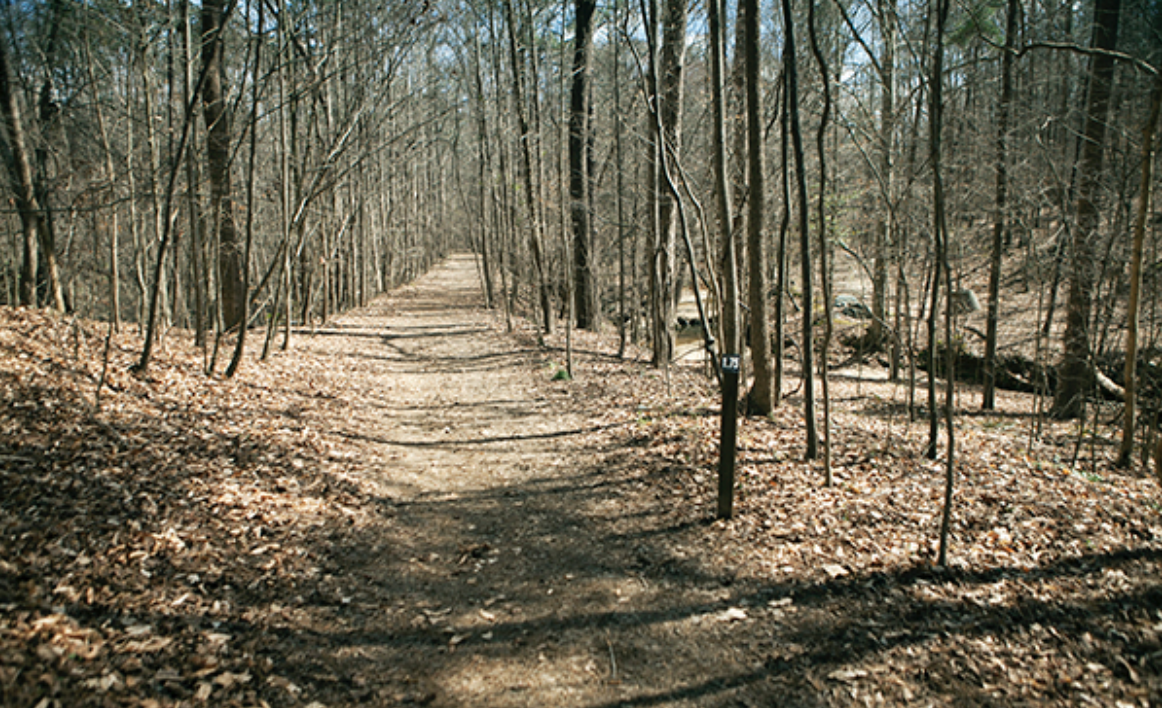 Simpsonwood Park